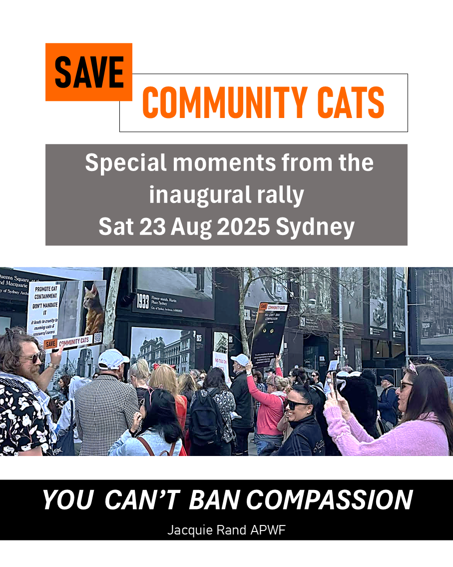 Save Community Save Community Cats – Seeking One Welfare solutions for community cats ...
